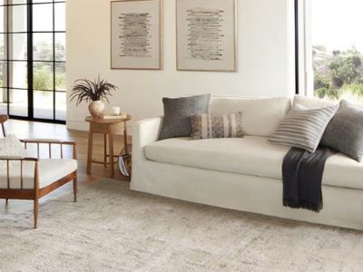 Loloi Amber Lewis Alie Sand/Sky 7'-10" x 10' Area Rug