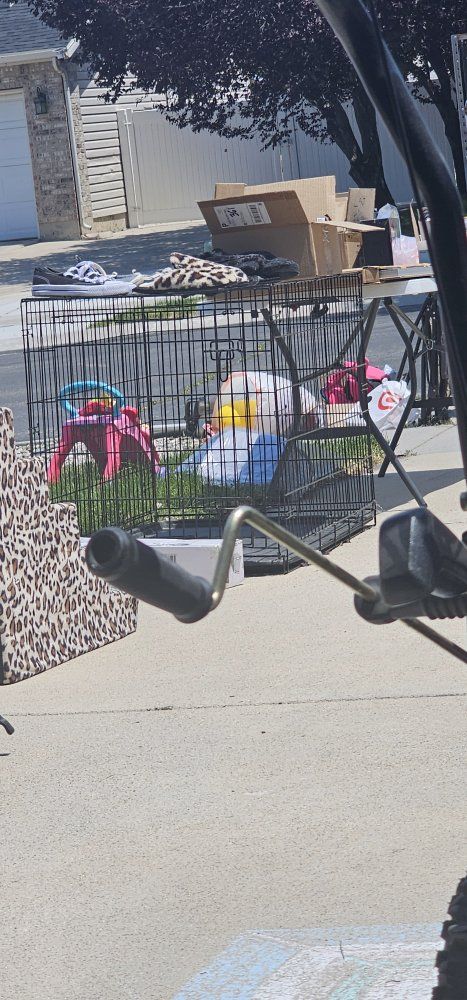 Xl dog cage