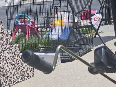 Xl dog cage