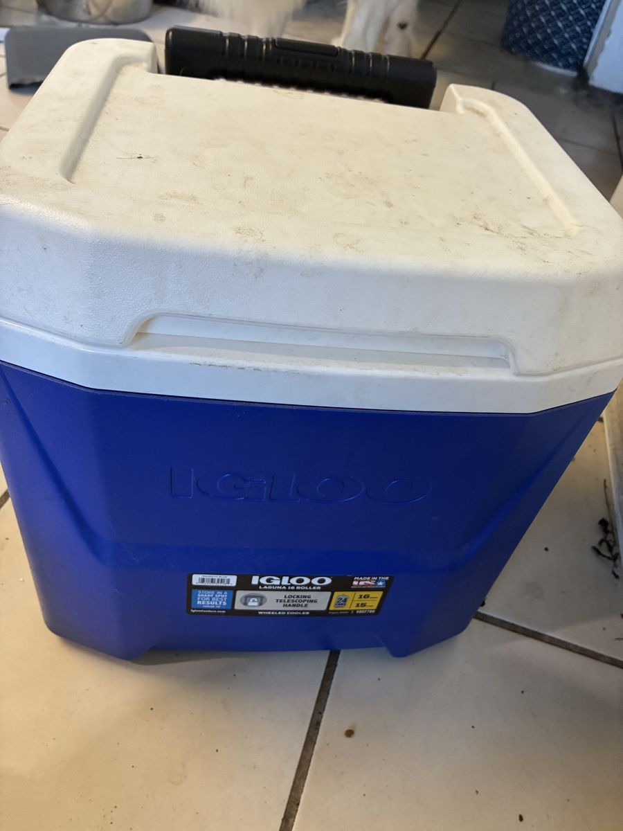 Small cooler with wheels