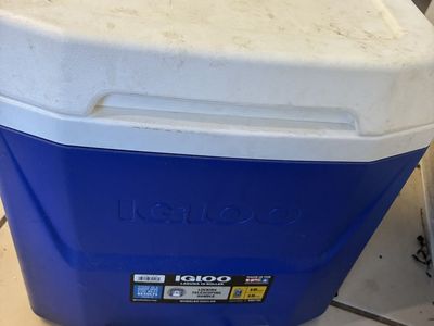 Small cooler with wheels
