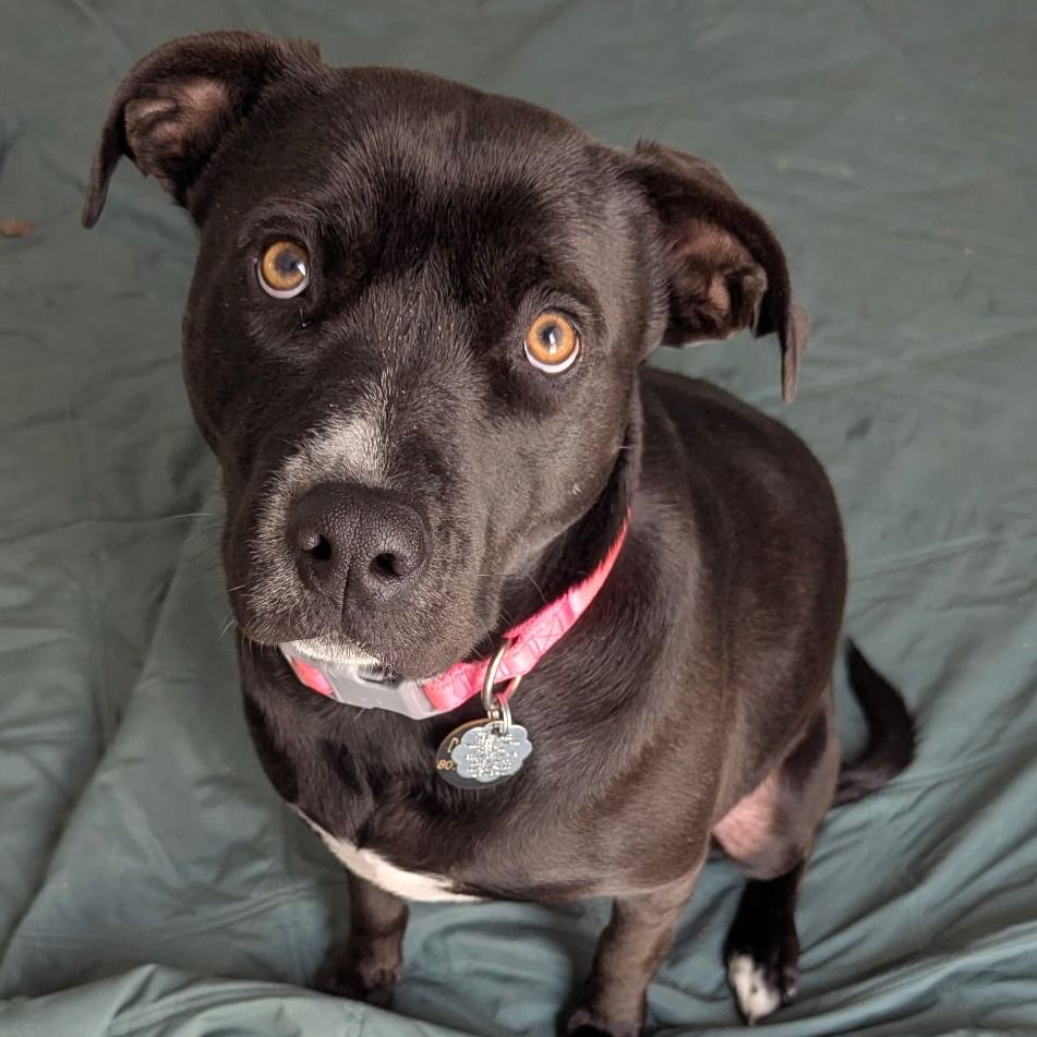 Hello my name is Cherry