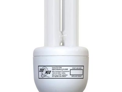 Reptisun 5.0 UVB light bulb