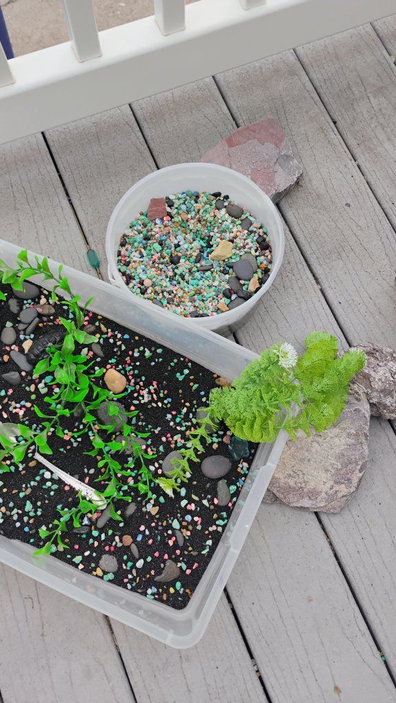 Aquarium sand, rocks and plants