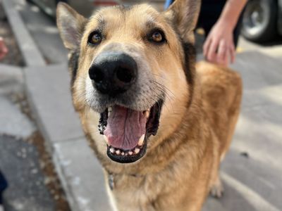 Hello my name is Lawson