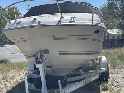 1999 215 Sea Ray Express Cruiser
