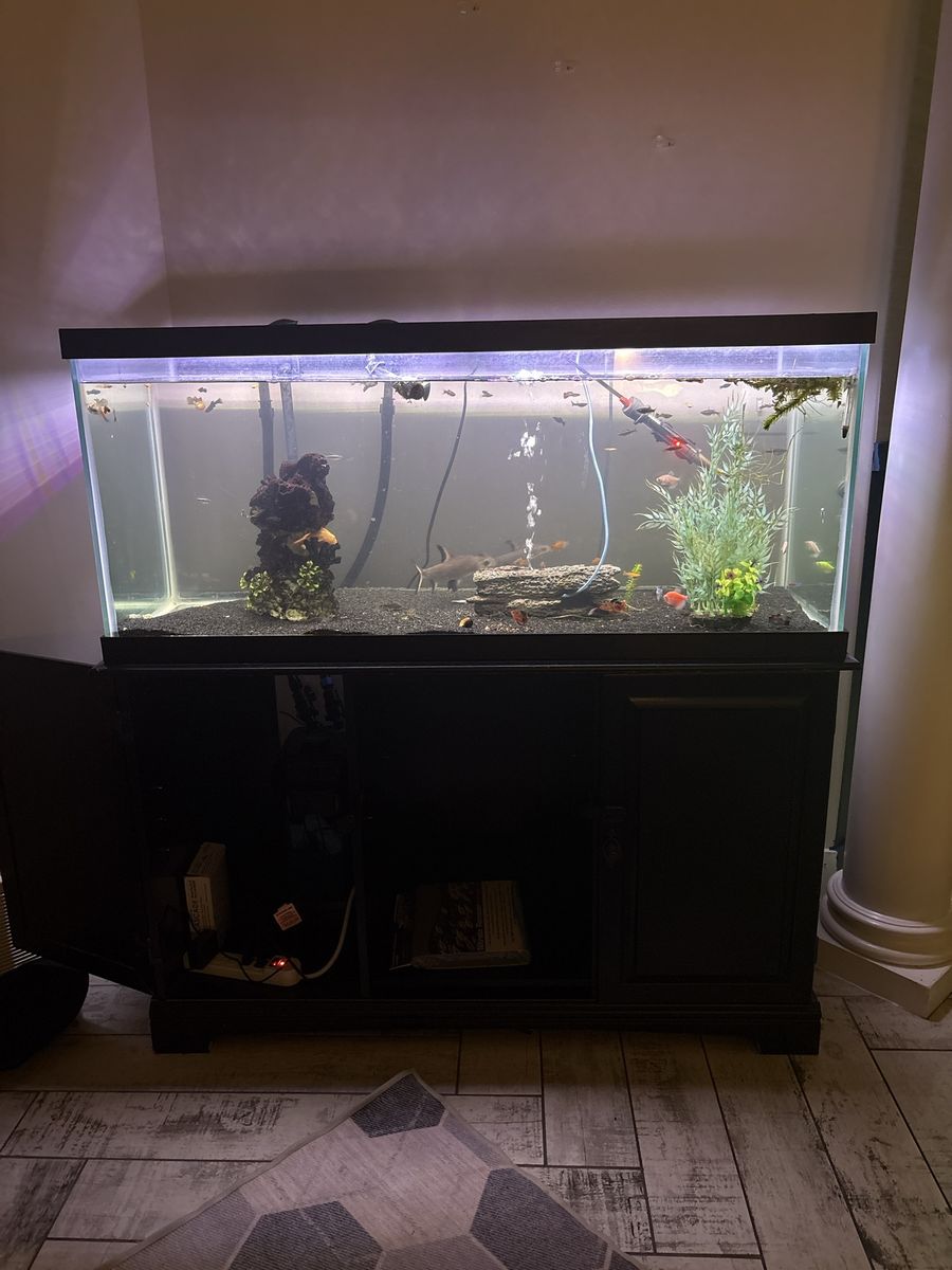 75 Gallon Fish Aquarium Black Cabinet Stand and Accessories