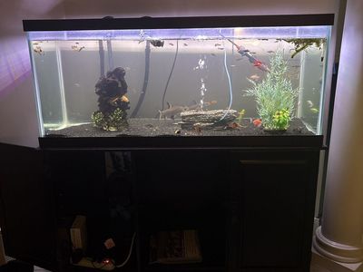 75 Gallon Fish Aquarium Black Cabinet Stand and Accessories