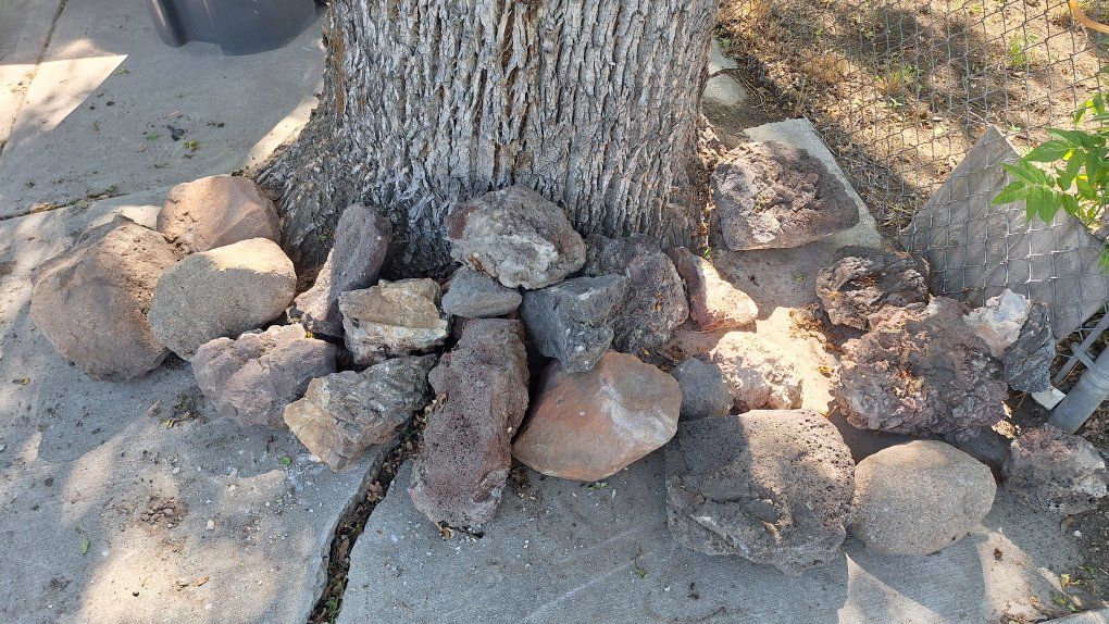 MORE FREE ROCKS FREE