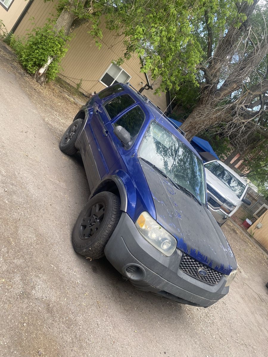 2005 ford escape