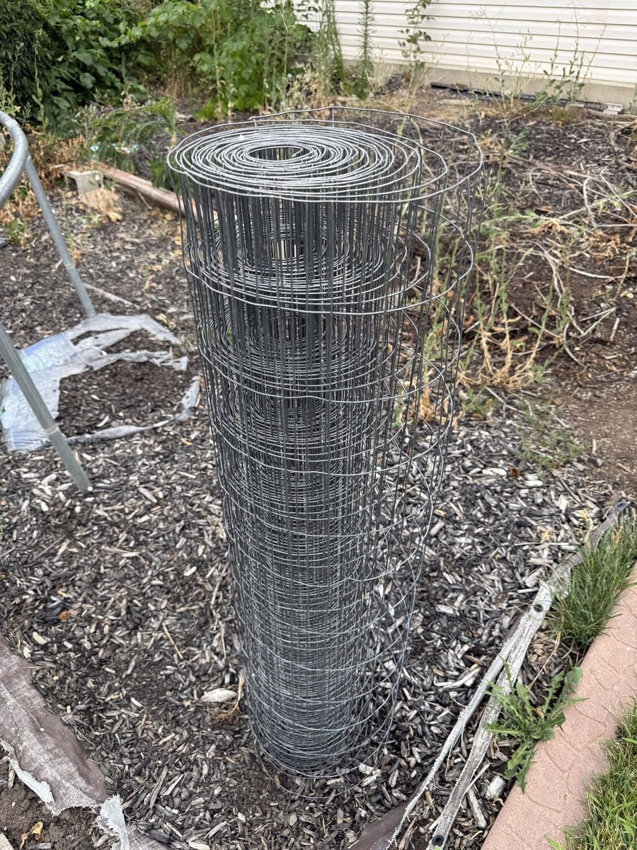 Chicken wire