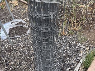 Chicken wire