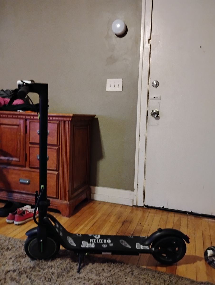 RIUIIO Electric Scooter