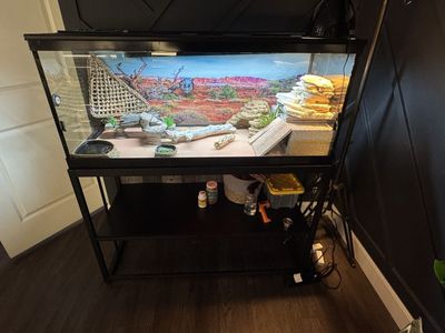 75 gallon, stand, lids, fx4, tidal 110, decor
