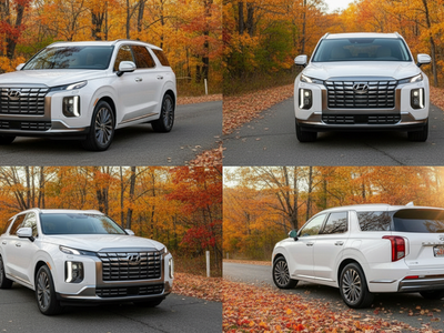 2024 Hyundai Palisade Calligraphy