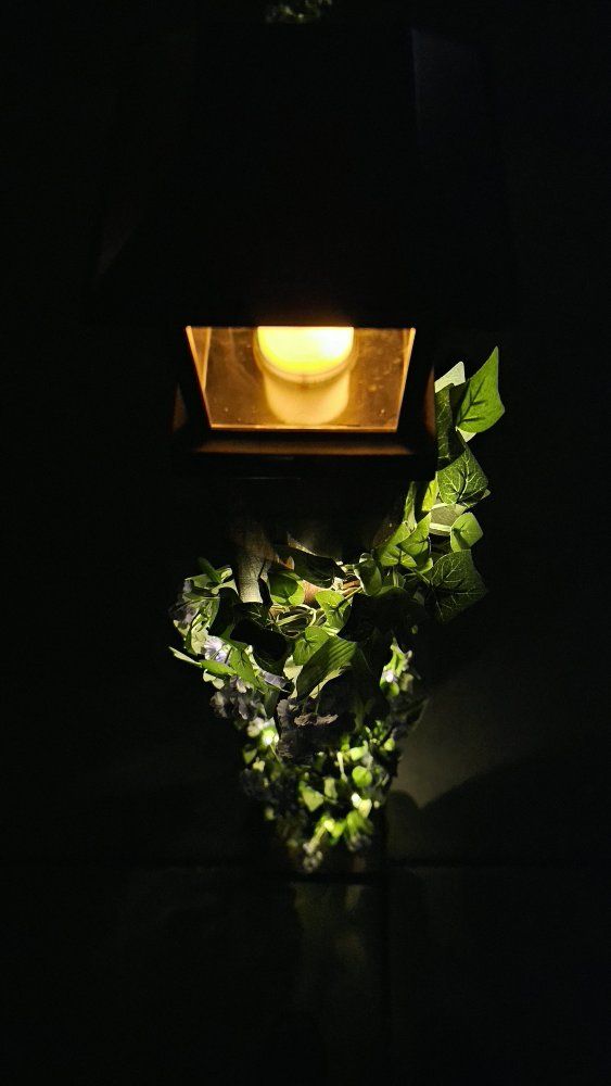 Main image 2