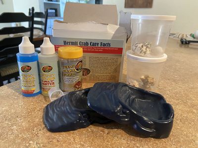 Hermit Crab Pet Supplies