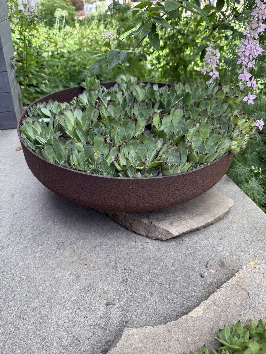 21” Steel Planter Bowl