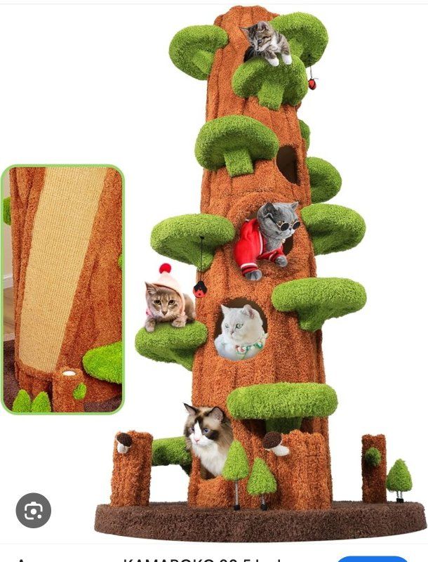 New in box cat tree