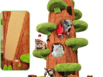 New in box cat tree