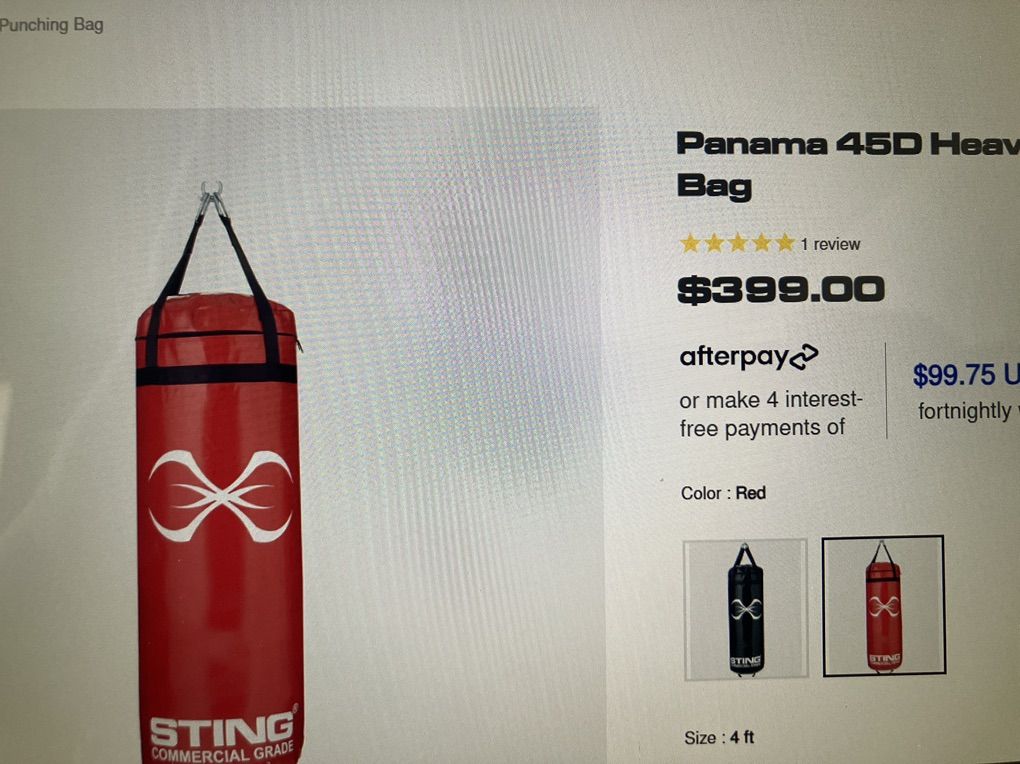 Sting commercial grade heavy bag