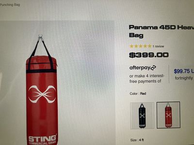 Sting commercial grade heavy bag