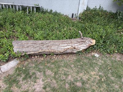 Can anyone use a very dry log? Read Description