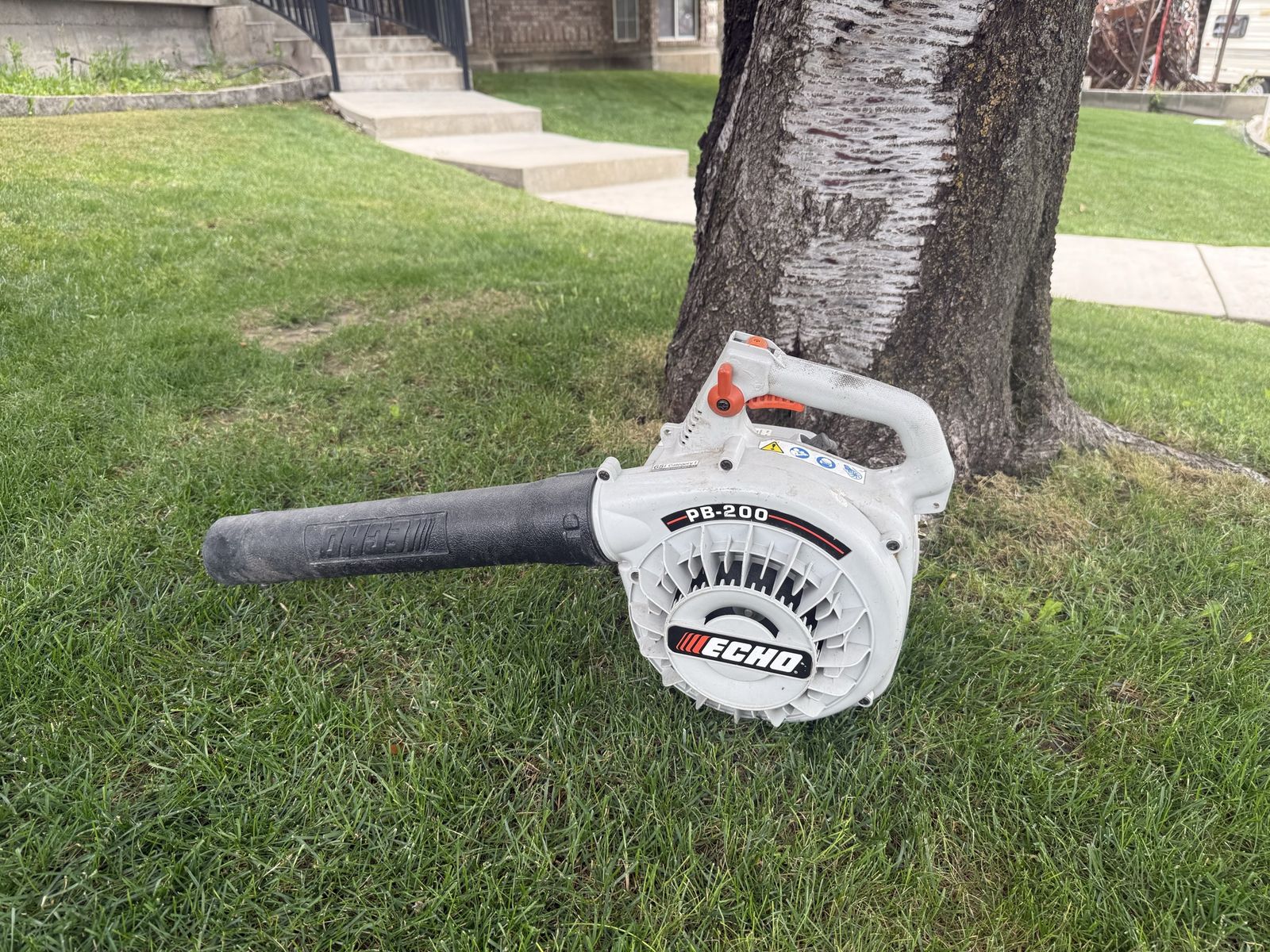 Echo PB-200 Blower