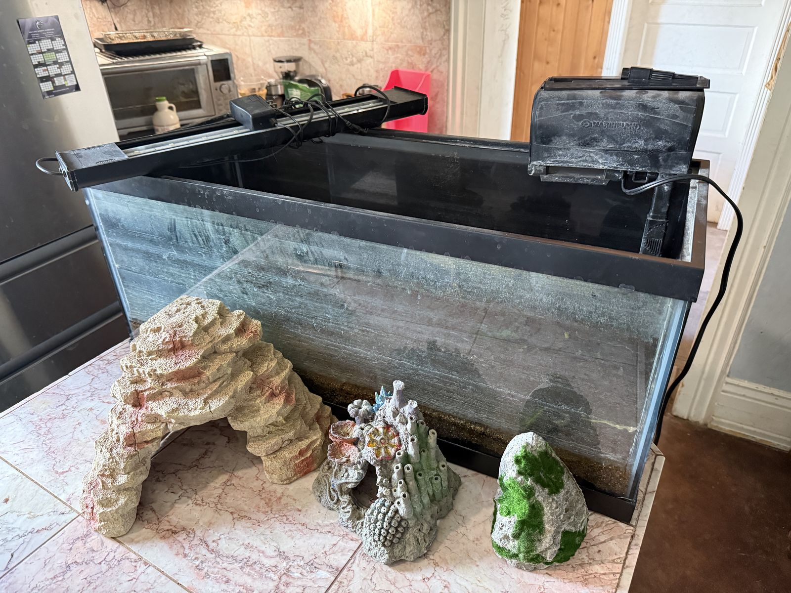 20 Gal Aquarium With pump and light