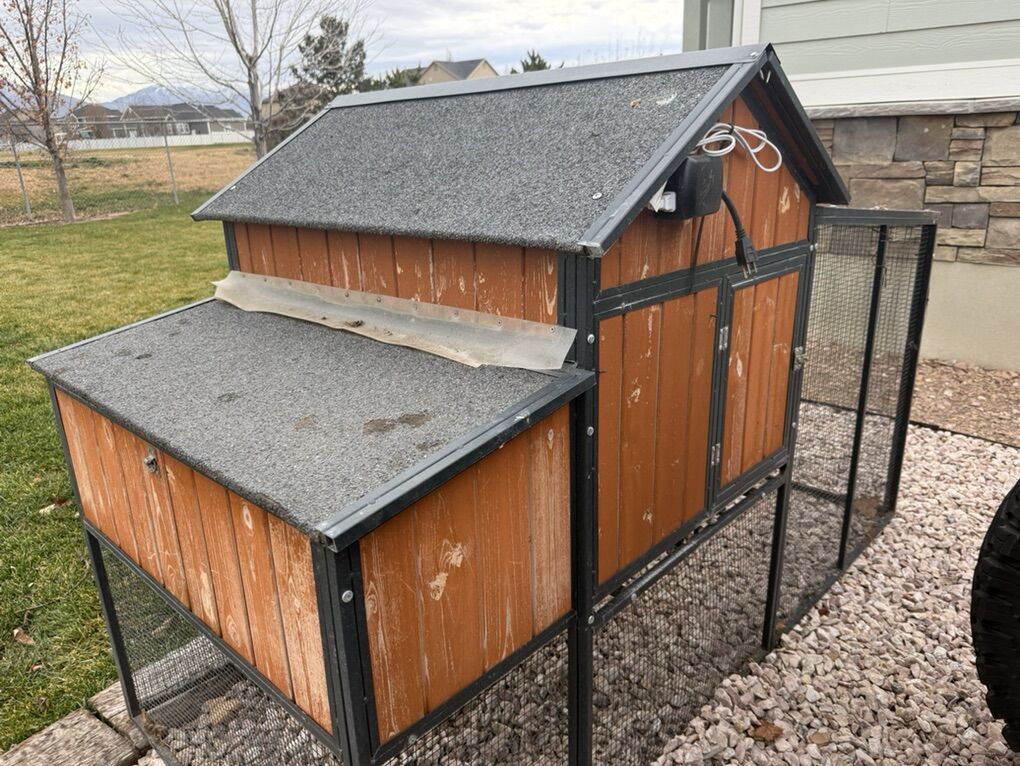Chicken Coop