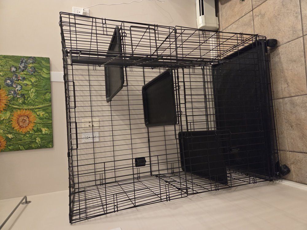 Cat, Ferret, or Small Animal Cage