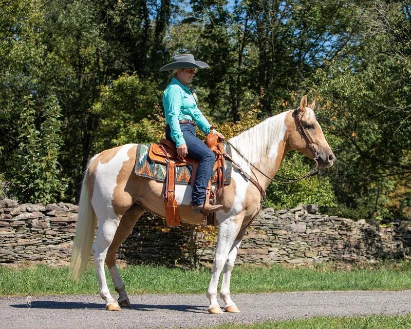Palomino Tobiano Paint Horse
