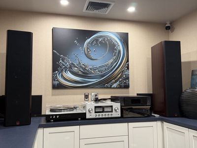 Dali 850 Floorstanding Speakers Made in Denmark Pair