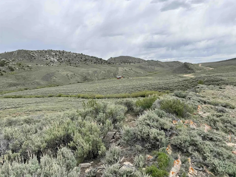 Main image 8