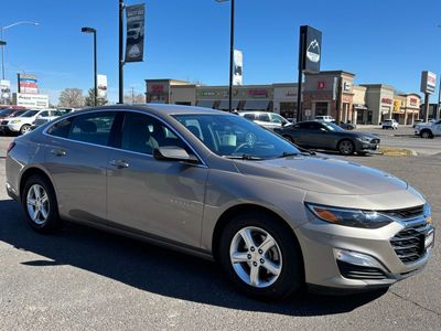 2024 Chevrolet Malibu LS Fleet