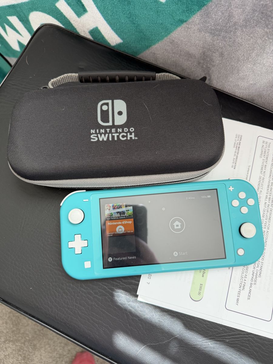 Switch lite