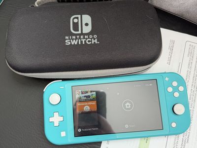 Switch lite