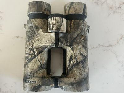 leupold bx-3 mojave 10x42