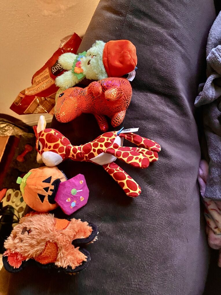 Beautiful Dog Toys Of All Kinds!