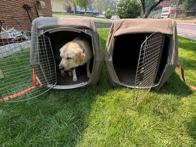 Dog Crates,