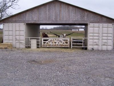 Shipping Containers 8X40 8X20 New And Used