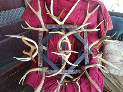 Antler Chandelier