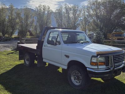 1995 Ford F-250 XLT