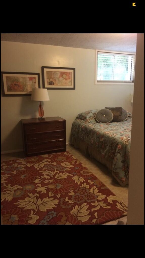 Queen size Comforter W shams & Dust Ruffle