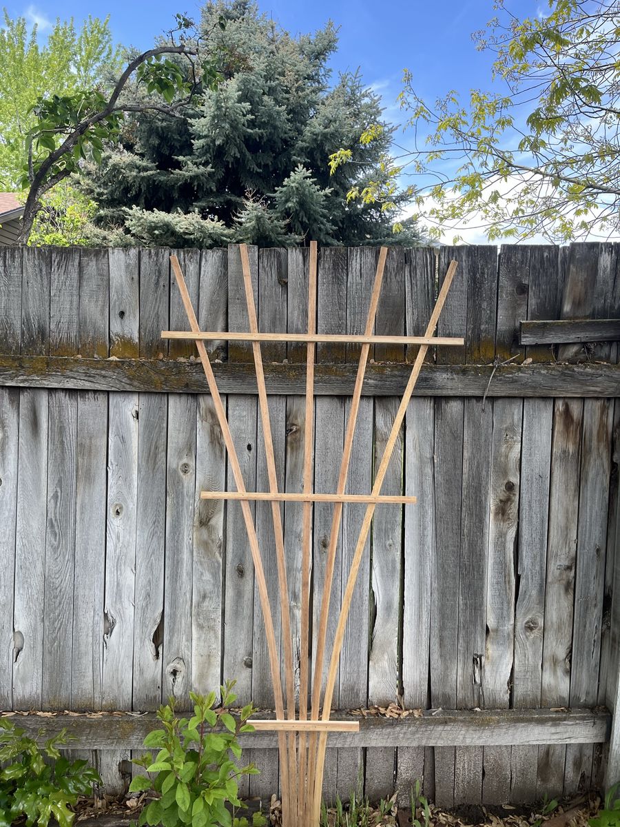 Cedar Wood Garden Trellis