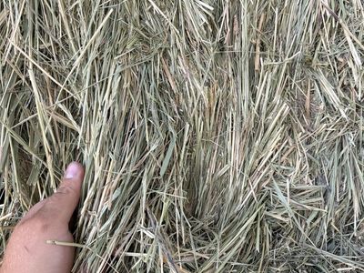 3x3x8 Grass Hay
