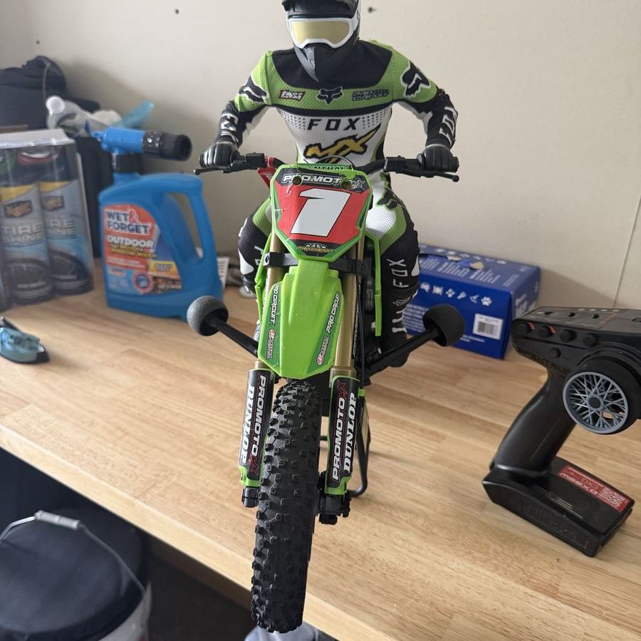Losi Pro Moto