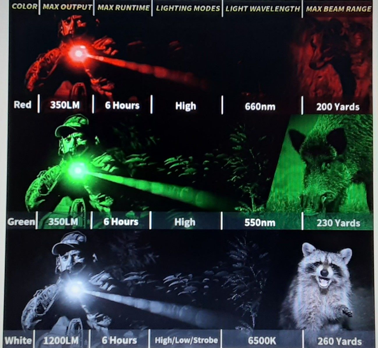 Main image 7