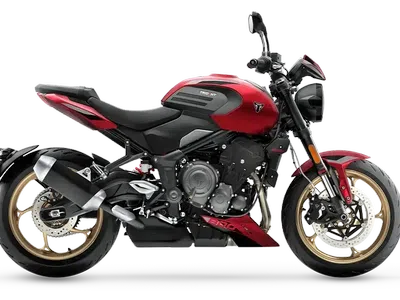 2026 Triumph Trident 800