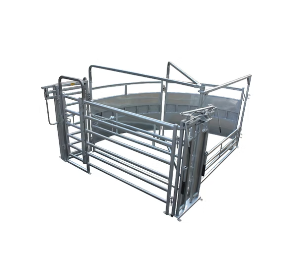 Cattle Maternity Pen